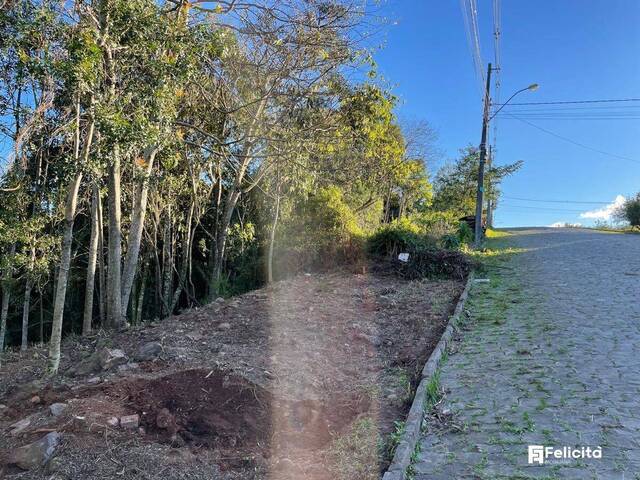 #1103 - Terreno para Venda em Caxias do Sul - RS