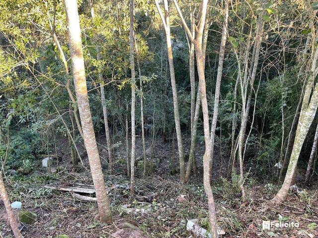 #1103 - Terreno para Venda em Caxias do Sul - RS