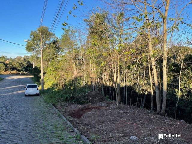 Terreno para Venda em Caxias do Sul - 5