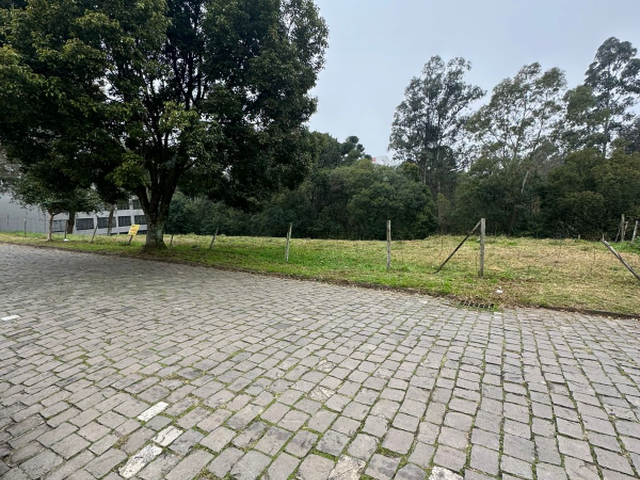 #1109 - Terreno para Venda em Caxias do Sul - RS