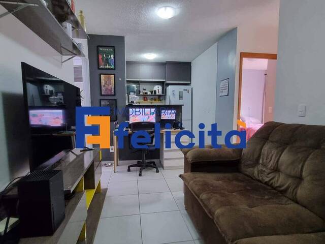 Apartamento para Venda em Caxias do Sul - 5