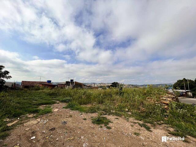 #1145 - Terreno para Venda em Caxias do Sul - RS