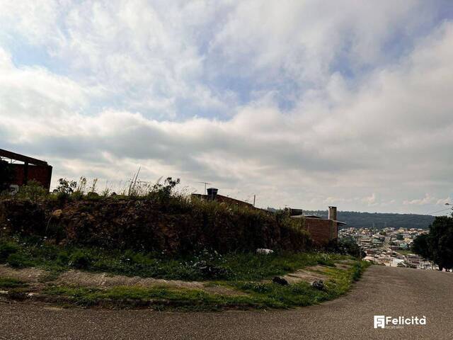 Terreno para Venda em Caxias do Sul - 5