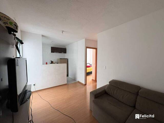 Apartamento para Venda em Caxias do Sul - 3