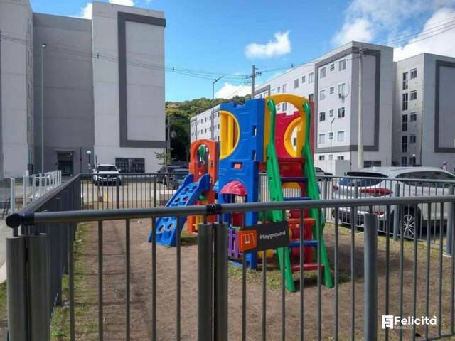 Venda em Panazzolo - Caxias do Sul