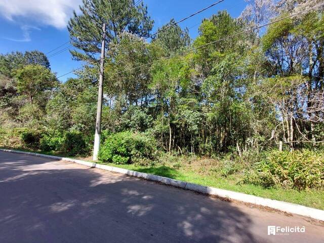 #1165 - Terreno para Venda em Caxias do Sul - RS