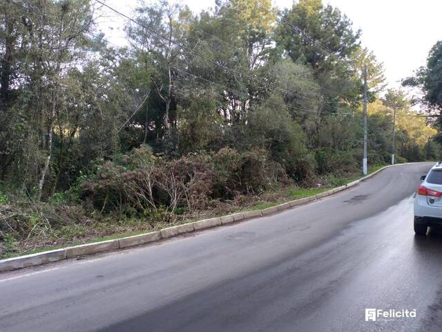 #1165 - Terreno para Venda em Caxias do Sul - RS