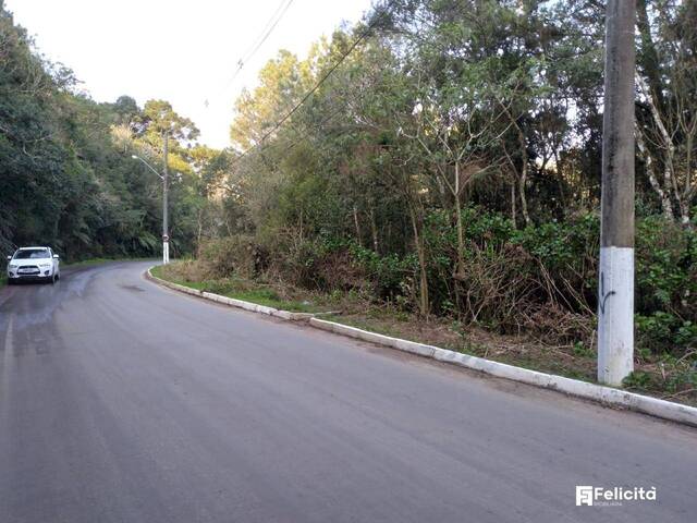 #1165 - Terreno para Venda em Caxias do Sul - RS