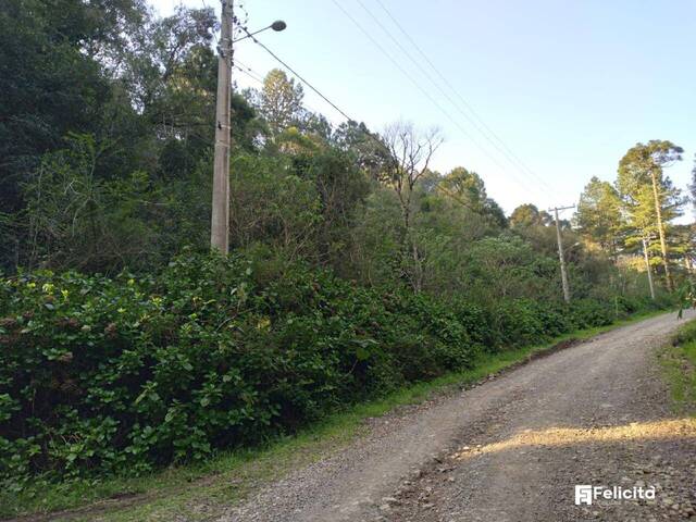 Terreno para Venda em Caxias do Sul - 4