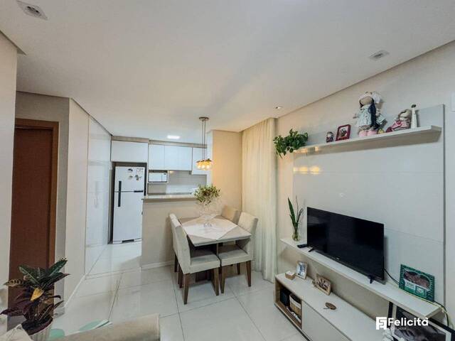 Venda em Panazzolo - Caxias do Sul