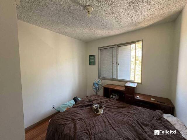 Apartamento para Venda em Caxias do Sul - 4