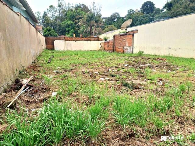 #1219 - Terreno para Venda em Caxias do Sul - RS
