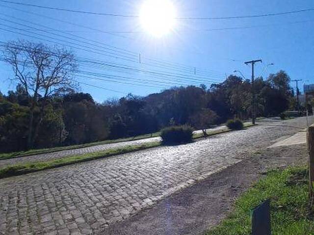 Terreno para Venda em Caxias do Sul - 4