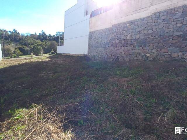 Terreno para Venda em Caxias do Sul - 5