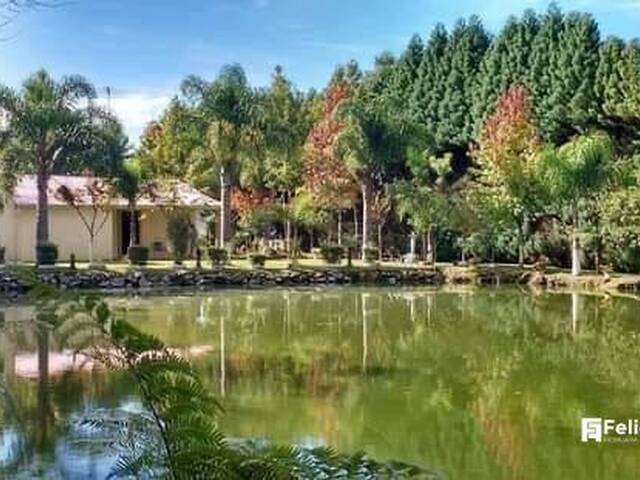 #1242 - Chácara para Venda em Caxias do Sul - RS