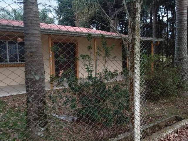 #1242 - Chácara para Venda em Caxias do Sul - RS