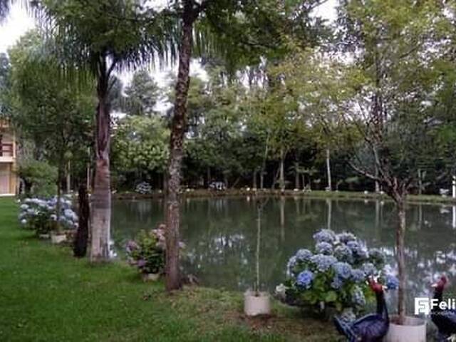 Chácara para Venda em Caxias do Sul - 4