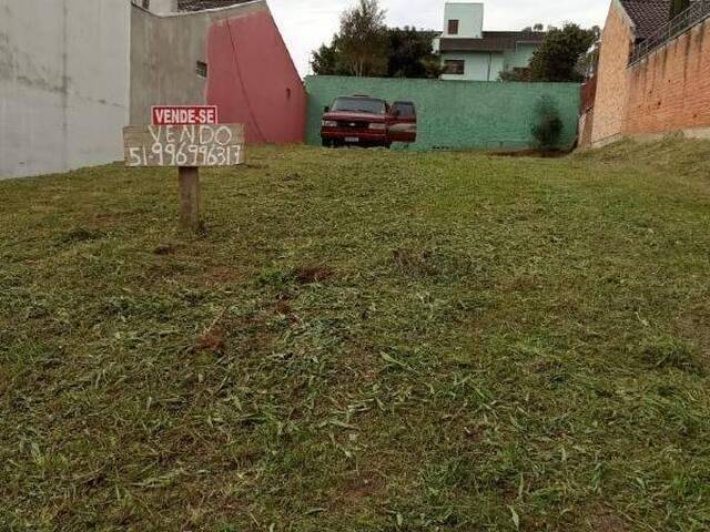 #1243 - Terreno para Venda em Caxias do Sul - RS