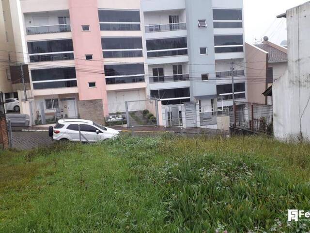 #1243 - Terreno para Venda em Caxias do Sul - RS