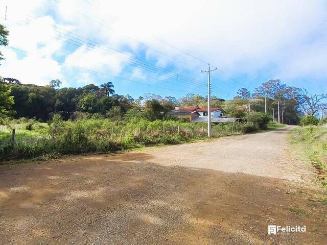 Terreno para Venda em Caxias do Sul - 4