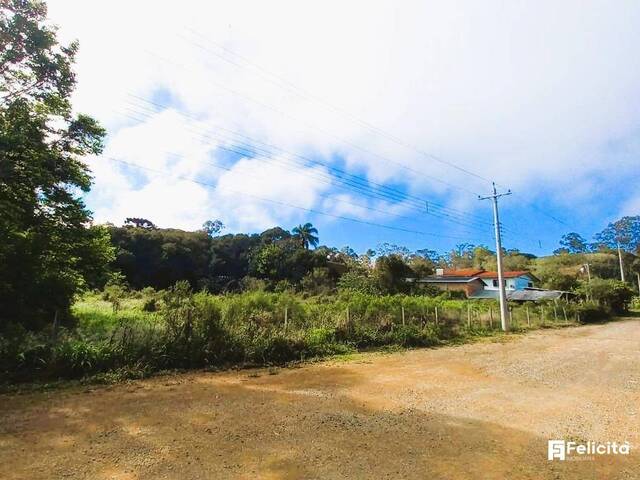 Terreno para Venda em Caxias do Sul - 5