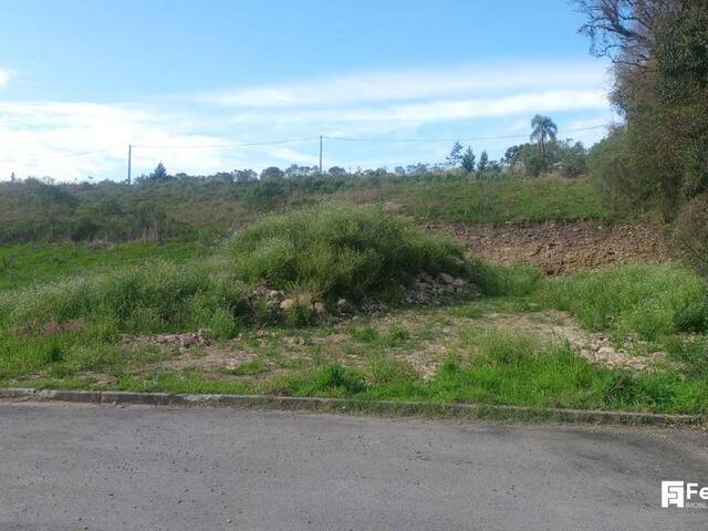 #1283 - Terreno para Venda em Caxias do Sul - RS