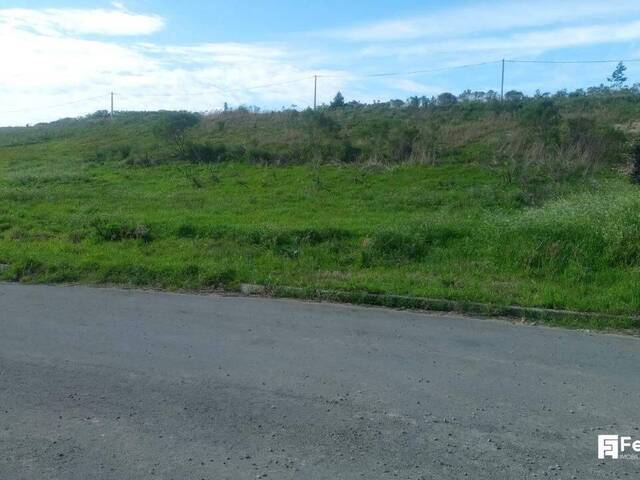 Terreno para Venda em Caxias do Sul - 4