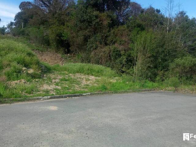 Terreno para Venda em Caxias do Sul - 5