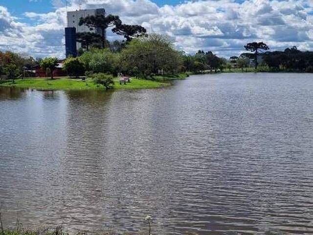 Apartamento para Venda em Caxias do Sul - 4