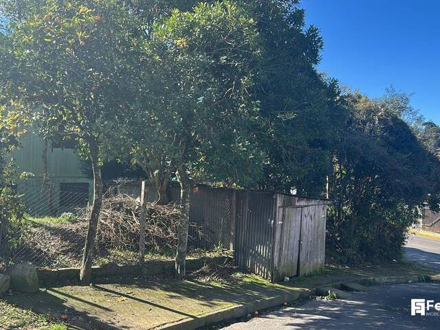 #1359 - Terreno para Venda em Caxias do Sul - RS