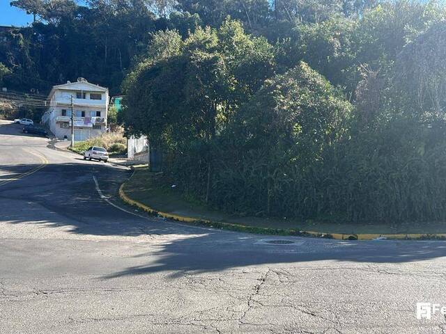 #1359 - Terreno para Venda em Caxias do Sul - RS