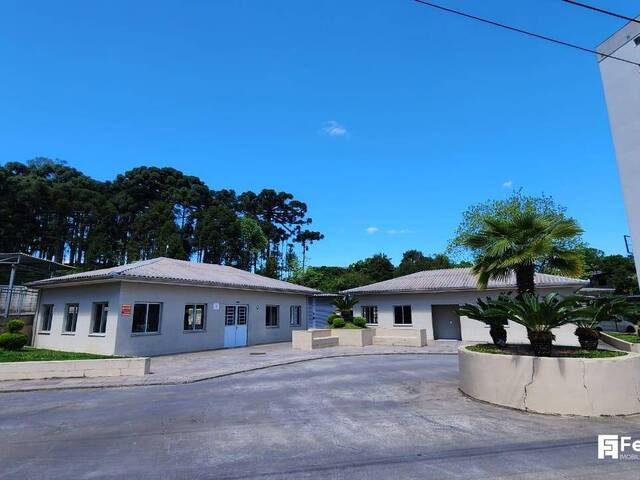 Venda em Pio X - Farroupilha