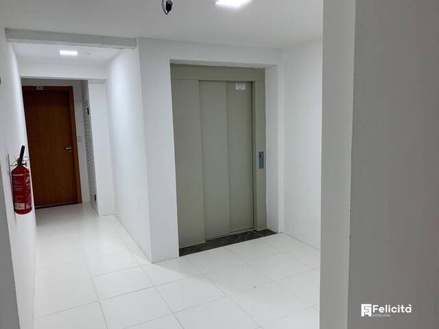 Apartamento para Venda em Caxias do Sul - 2