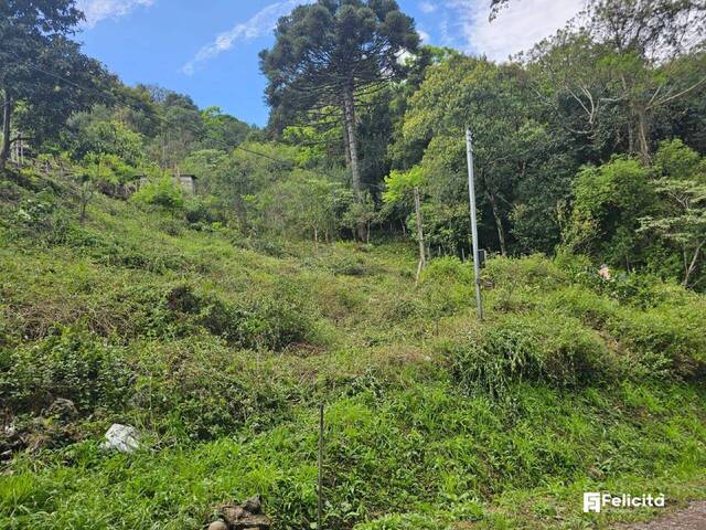 #1367 - Terreno para Venda em Caxias do Sul - RS