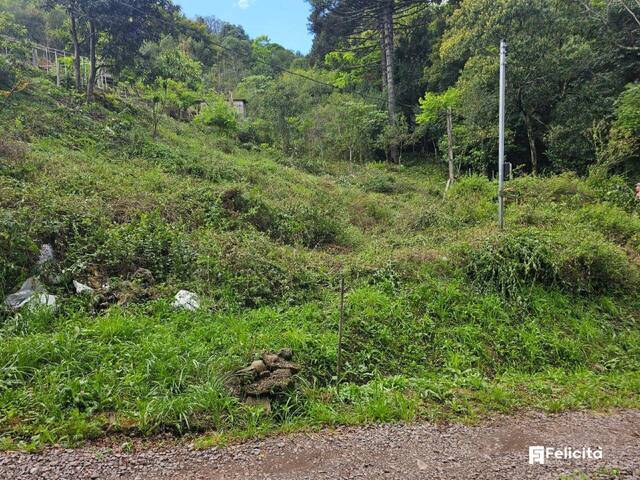 #1367 - Terreno para Venda em Caxias do Sul - RS