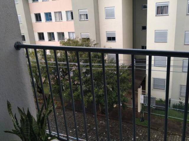 Apartamento para Venda em Caxias do Sul - 5