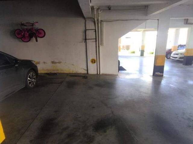 Apartamento para Venda em Caxias do Sul - 5