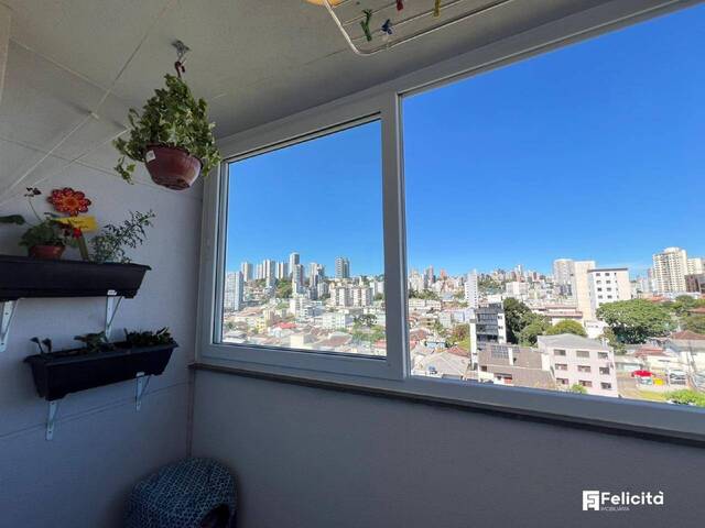 Apartamento para Venda em Caxias do Sul - 5