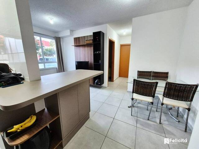 Apartamento para Venda em Caxias do Sul - 2