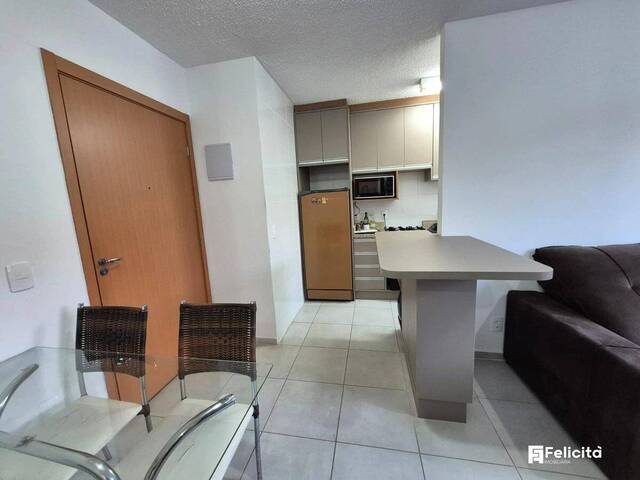 Apartamento para Venda em Caxias do Sul - 4