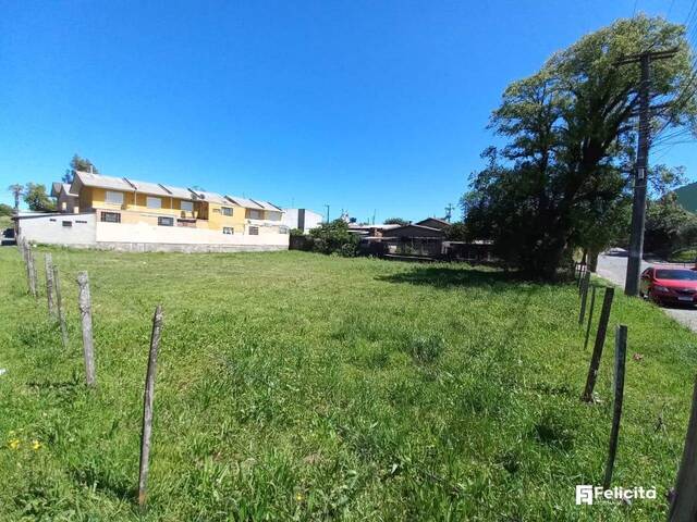 #1396 - Terreno para Venda em Caxias do Sul - RS