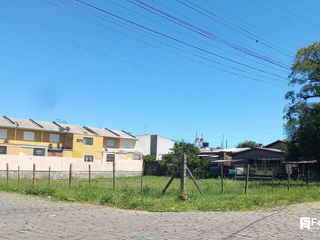 Terreno para Venda em Caxias do Sul - 5
