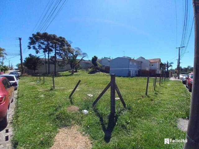 #1397 - Terreno para Venda em Caxias do Sul - RS