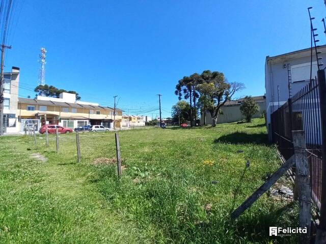 #1397 - Terreno para Venda em Caxias do Sul - RS