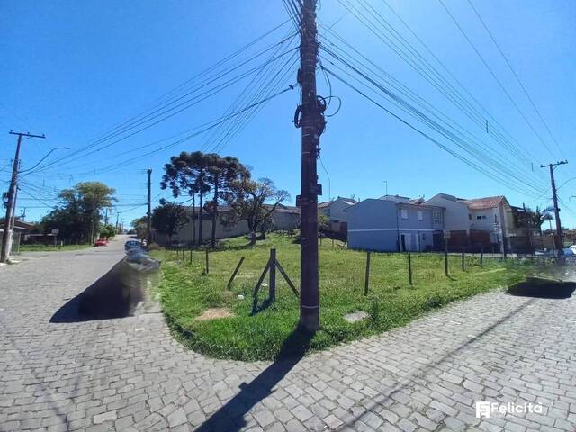 #1397 - Terreno para Venda em Caxias do Sul - RS