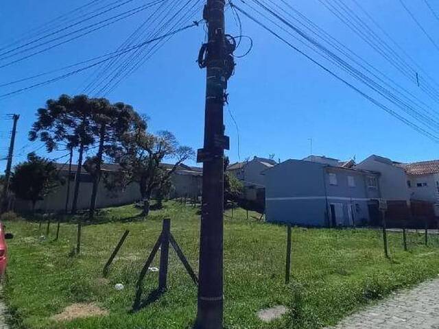 Terreno para Venda em Caxias do Sul - 4