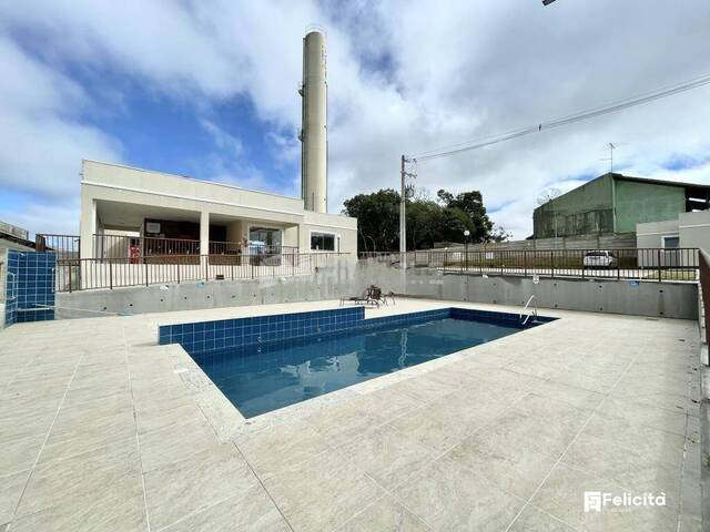 Apartamento para Venda em Caxias do Sul - 4