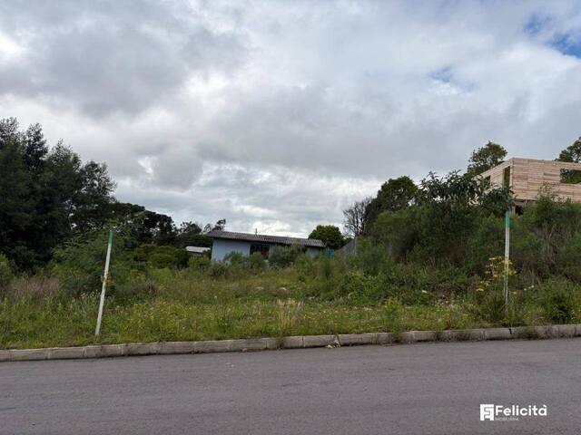 #1405 - Terreno para Venda em Caxias do Sul - RS