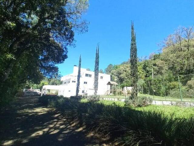 #1425 - Chácara para Venda em Caxias do Sul - RS