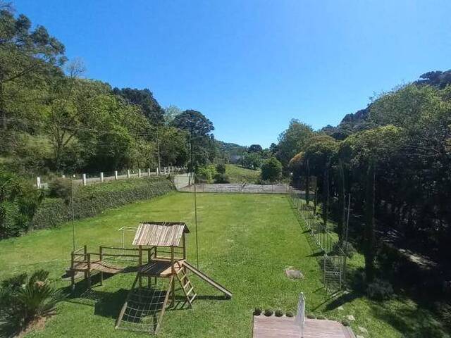 Chácara para Venda em Caxias do Sul - 4